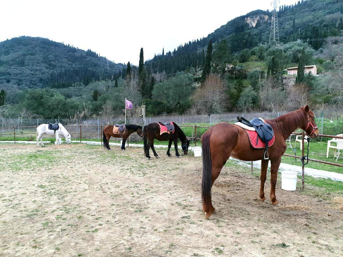 St.Nicholas Ranch Corfu Benitses  Exterior photo